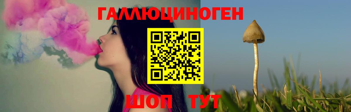 Сафоново  Псилоцибиновые грибы ЛСД  Вход с VPN 